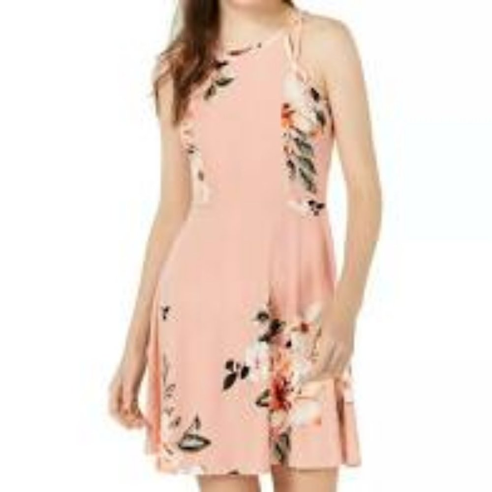 Planet Gold Skater Pink Floral Dress